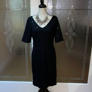 Banana Republic sheath sequin dress gorgeous!
